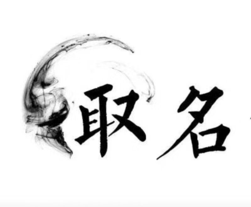  天全宝宝取名 大师一对一人工起名